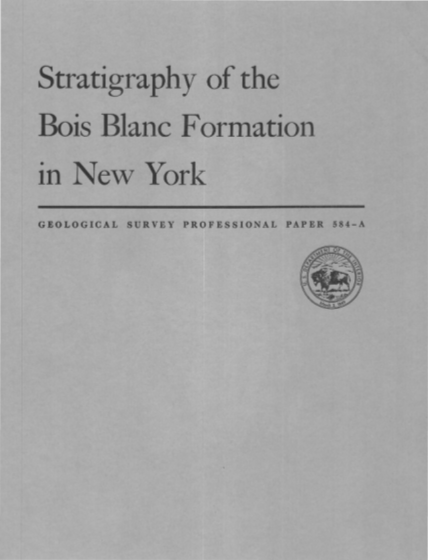 91245769-stratigraphy-of-the-bois-blanc-formation-in-new-york-pubs-usgs