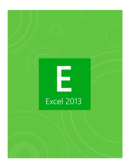 99444438-excel-2013-project-workbook-learnkey