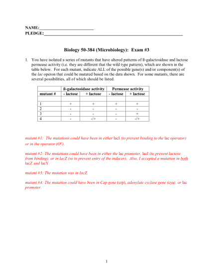dts-constructed-worksheet