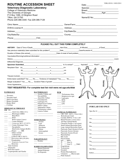 27 veterinary forms templates free page 2 free to edit download print cocodoc